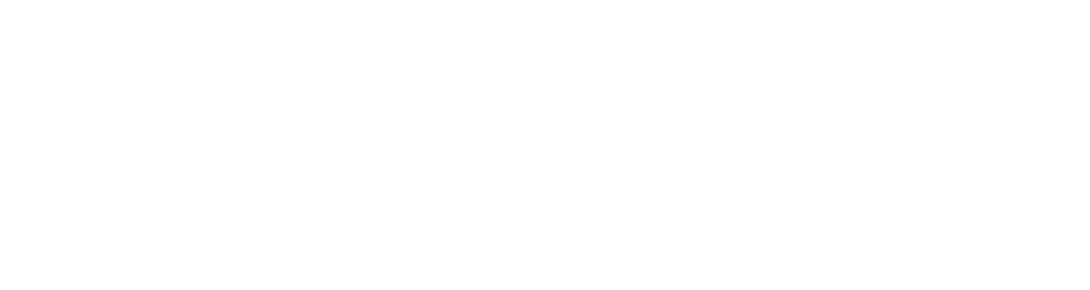Viking Turizm